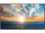 Microtips Technology AWH TFT LCD Displays