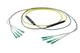 Pasternack PE3FCA252-5M