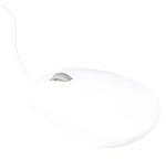 Raspberry Pi SC1685 Vergrößertes Bild